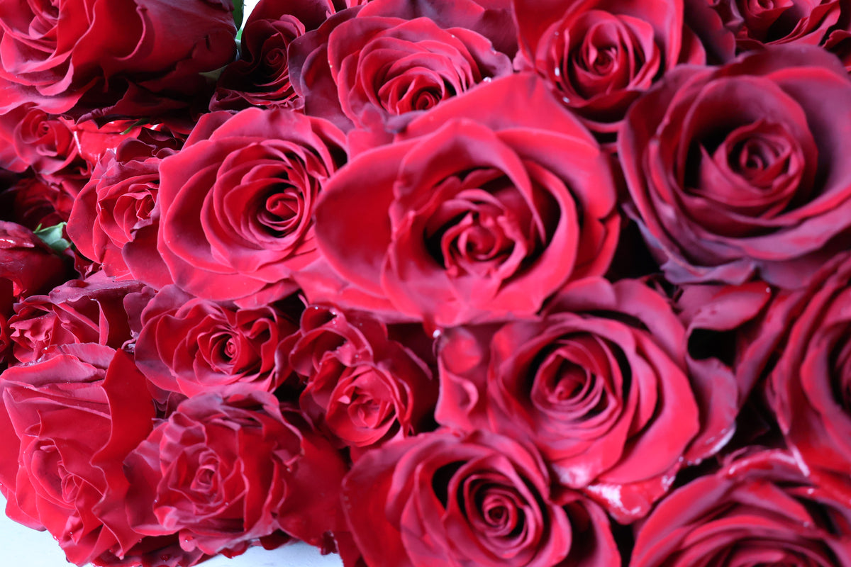 The Luxury Rose – Signature Monochrome Bouquet
