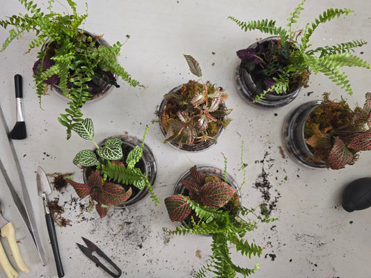 Crystal Garden – Terrarium & Botanical Art