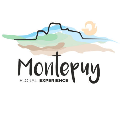 MONTEPUY  FLORAL EXPERIENCE