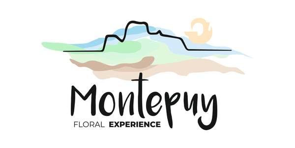 MONTEPUY  FLORAL EXPERIENCE